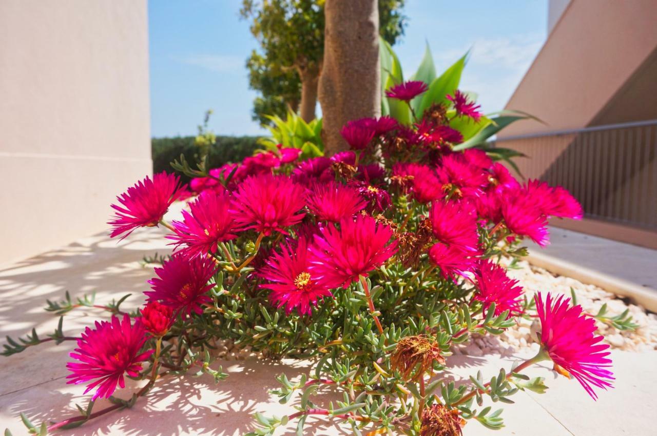 Apartamento Casa Laranja, Aromas Burgau Exterior foto